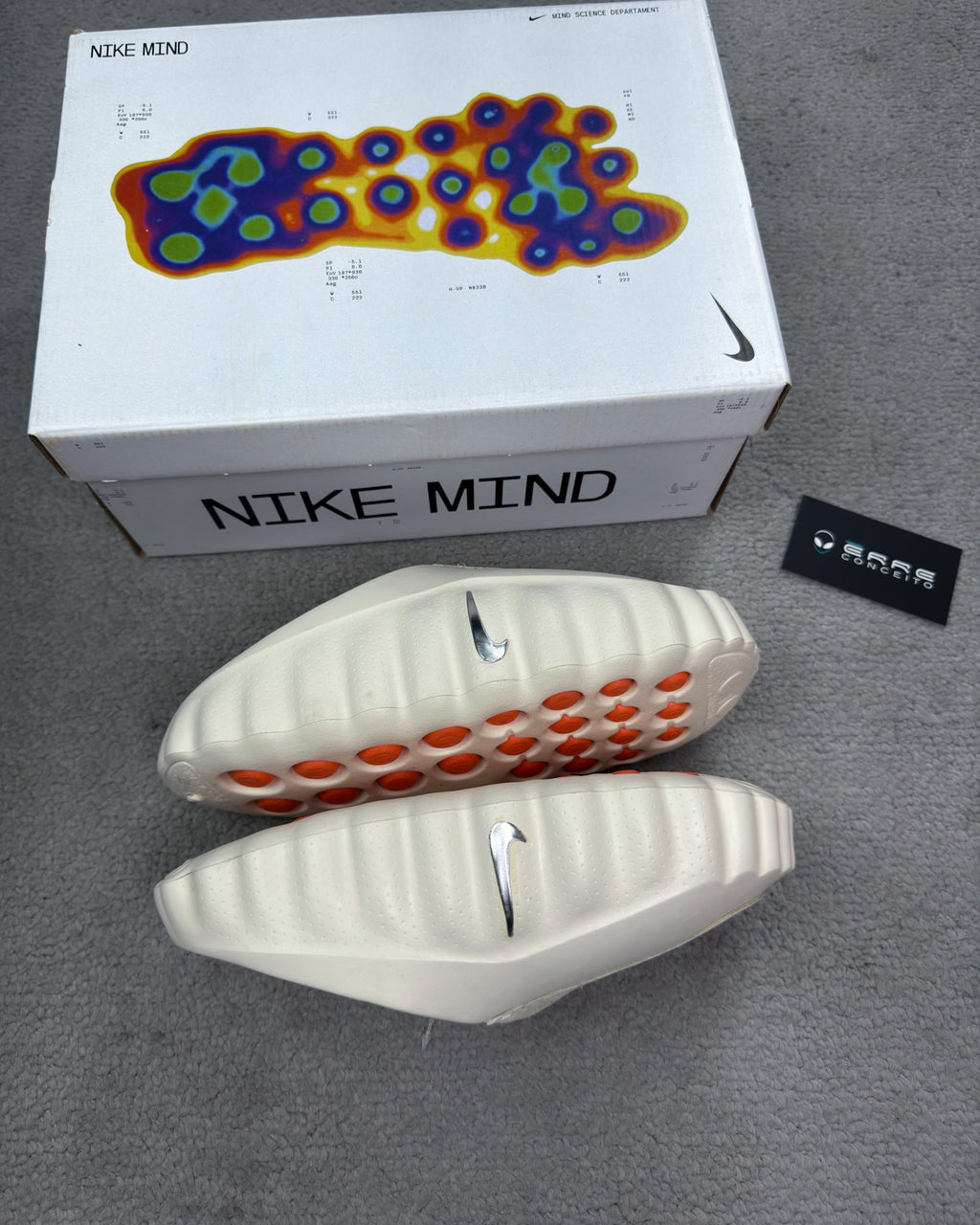 CHINELO NIKE MIND 001