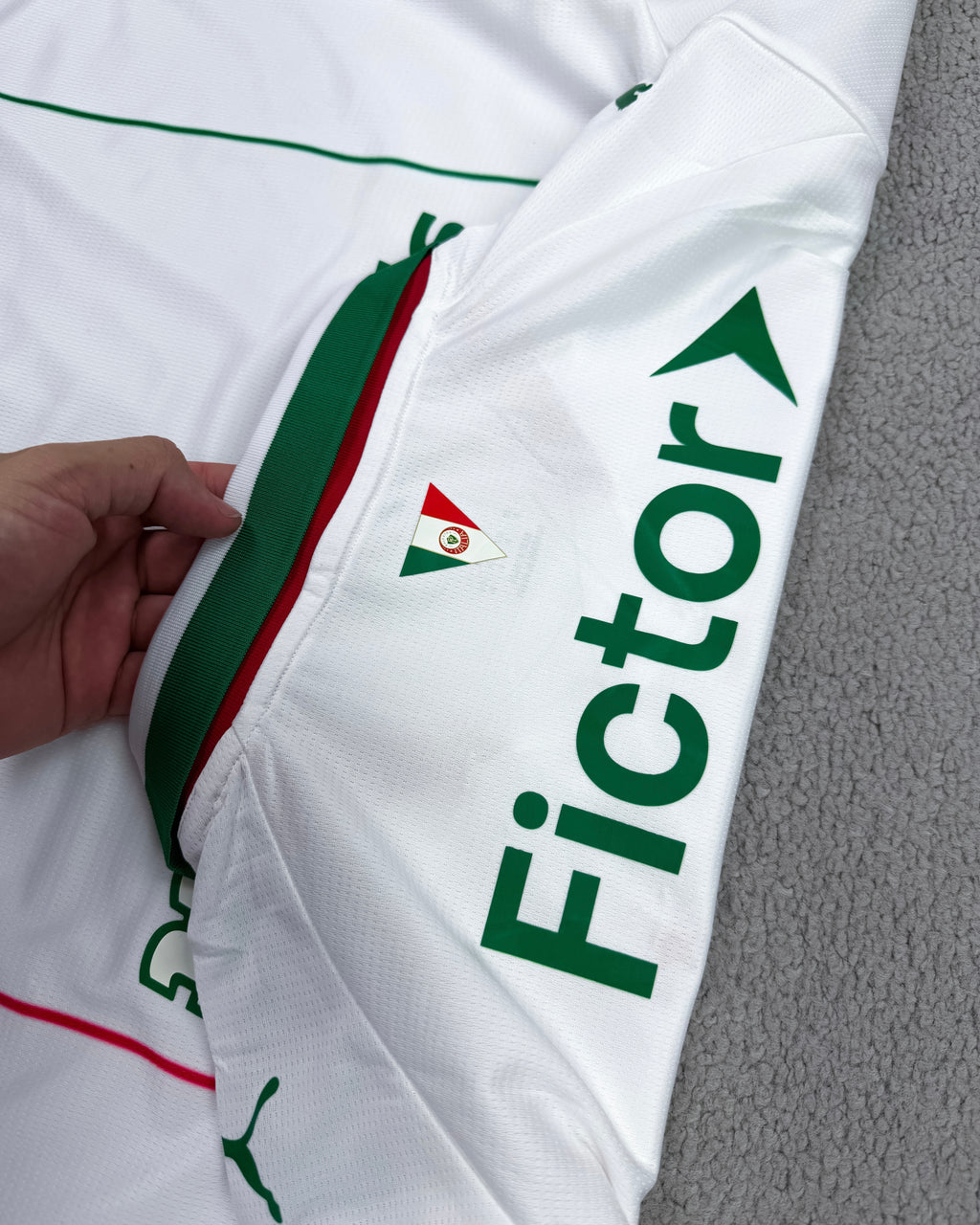 CAMISETA PALMEIRAS 2026 TORCEDOR