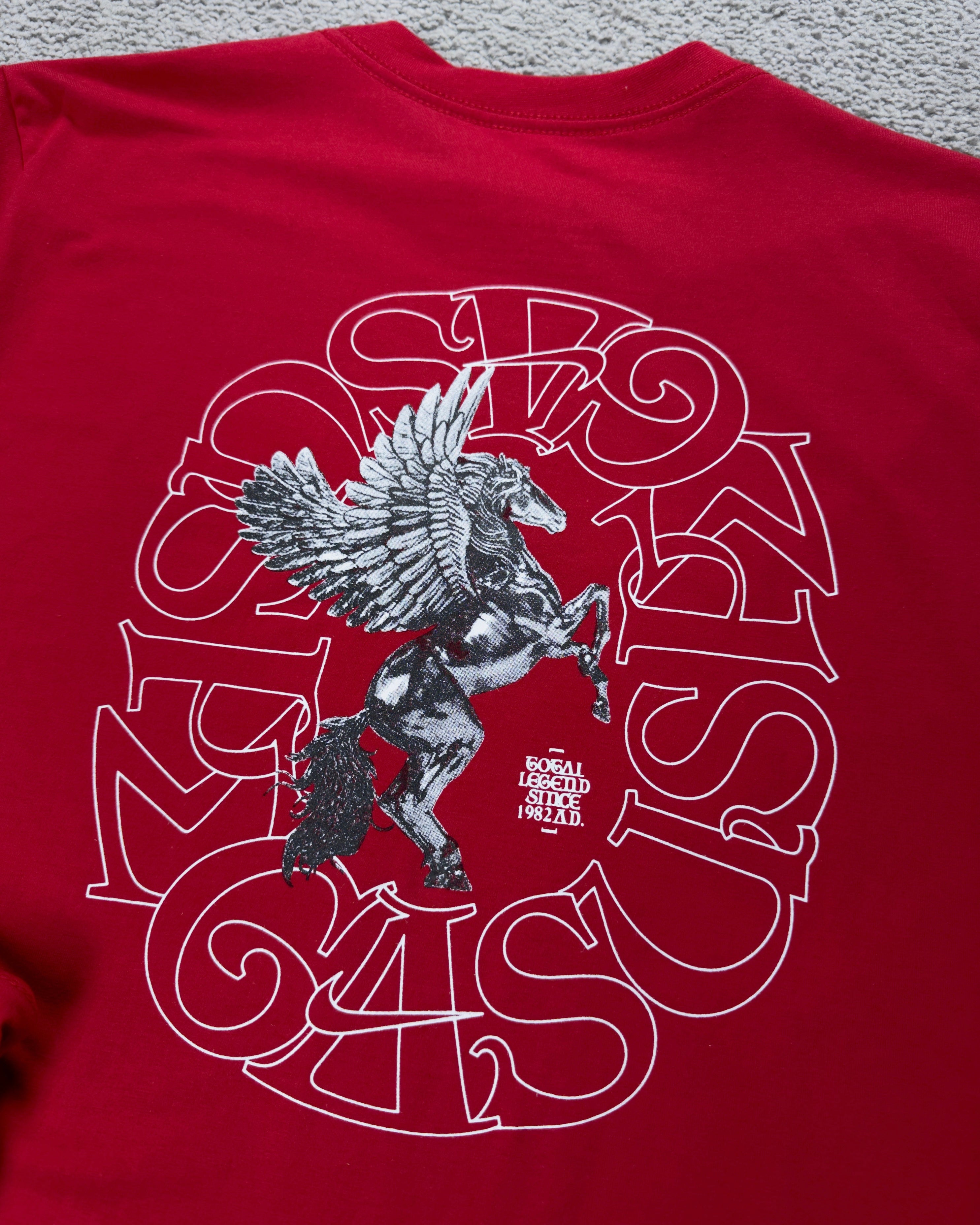 CAMISETA NK PEGASUS