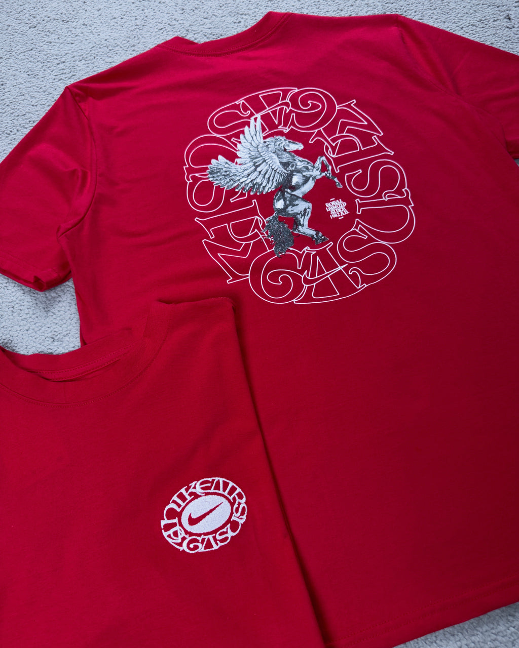 CAMISETA NK PEGASUS