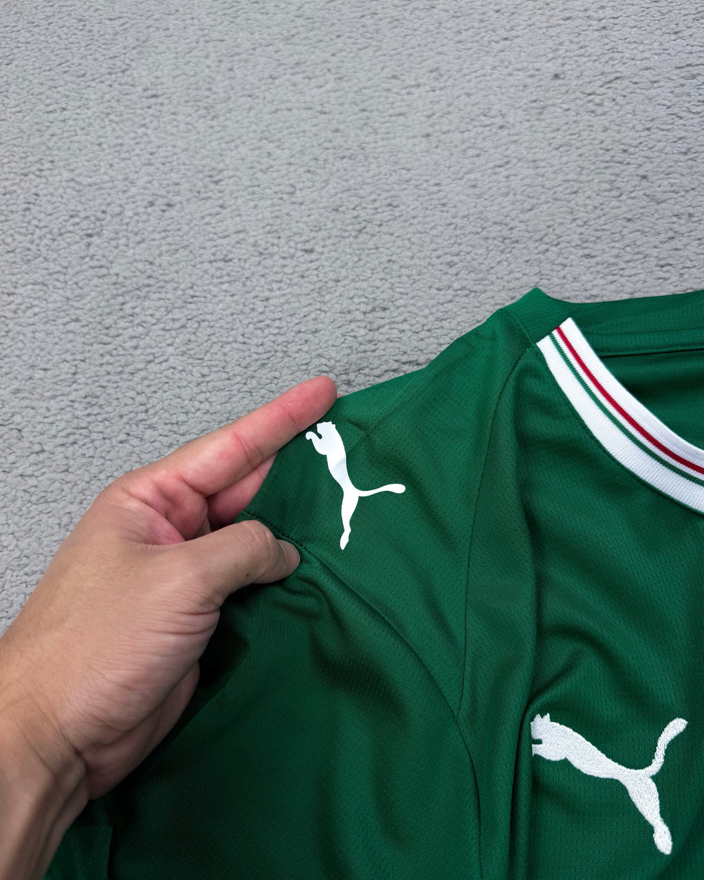 CAMISETA PALMEIRAS TORCEDOR 2026