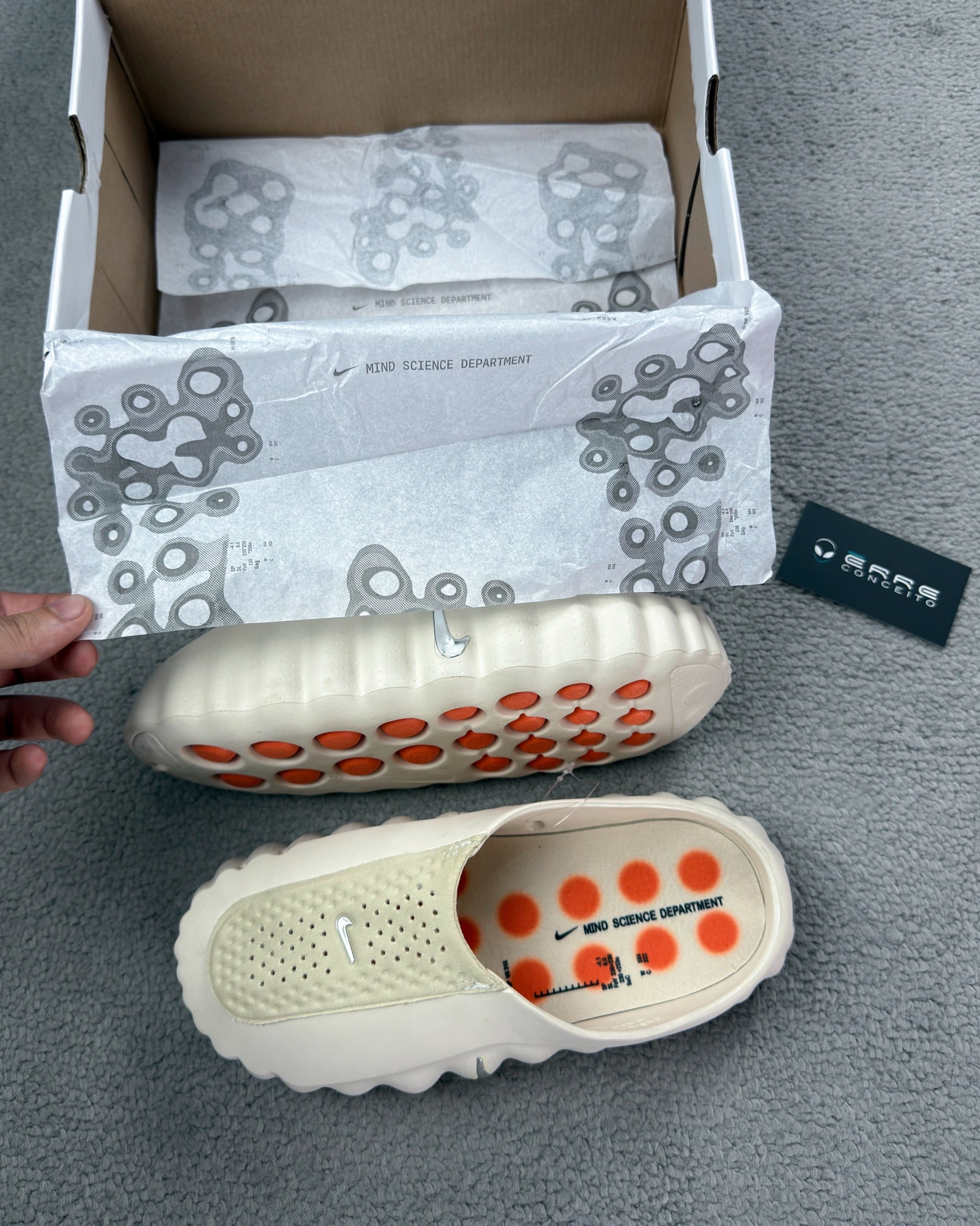 CHINELO NIKE MIND 001